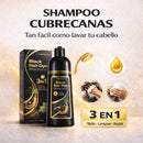 🧴 Shampoo Anti-Canas + 🖤 Pigmento + 🎁 2 Obsequios