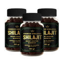 GOMITAS SHILAJIT Premium 🤎 Recarga tu energía y vitalidad 💪
