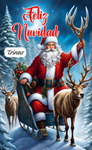 PuertaMágica™ FUNDA NAVIDEÑA PREMIUM PARA PUERTA - Diseño Exclusivo 🎅🎄